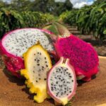 bENEFÍCIOS DA PITAYA